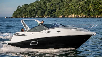 sportcruiser op zee bij groene kust