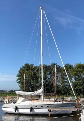 zeiljacht in ligplaats met mast en bomen
