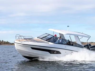dagcruiser op open water