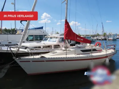 zeilboot afgemeerd in jachthaven