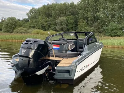 motorboot op het water met riet en bomen