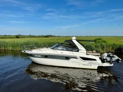motorboot op stil water bij graslanden