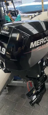 buitenboordmotor en deel van rib