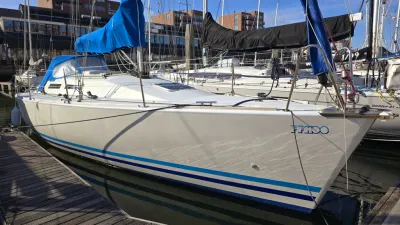 zeilboot afgemeerd in jachthaven