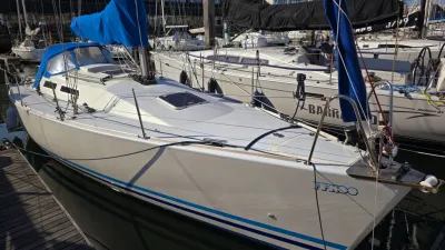 zeilboot aangemeerd in jachthaven