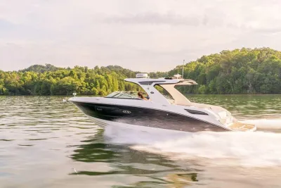 motorboot varend bij groene oever