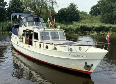 motorjacht op rivier bij groene oever