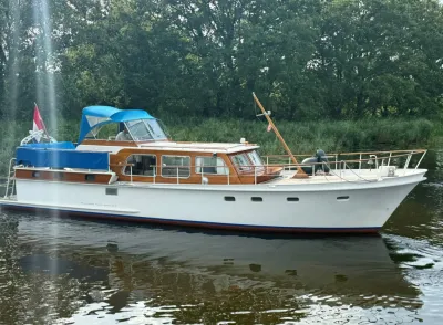 motorjacht op water bij groene oever