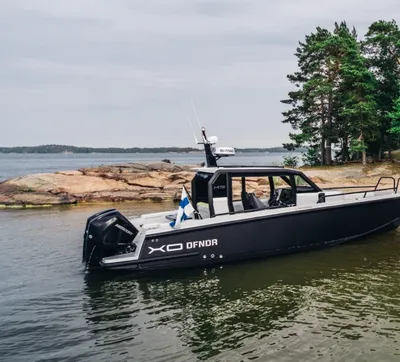 sportboot aangemeerd bij zandstrand en bos