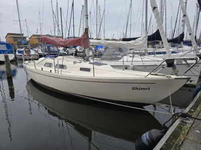 kajuitzeilboot afgemeerd in een jachthaven