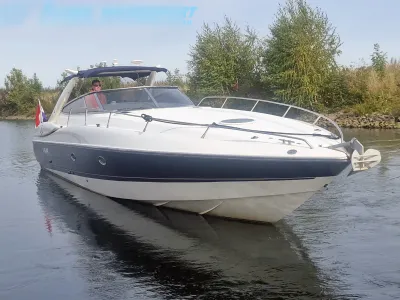 speedboot in het water naast oever