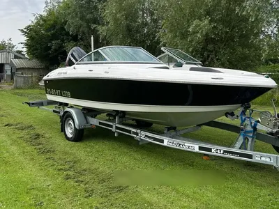 bowrider op trailer op gras