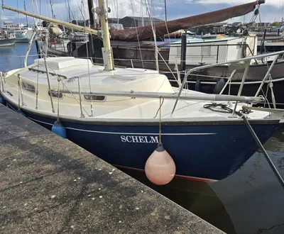 zeilboot afgemeerd in een jachthaven