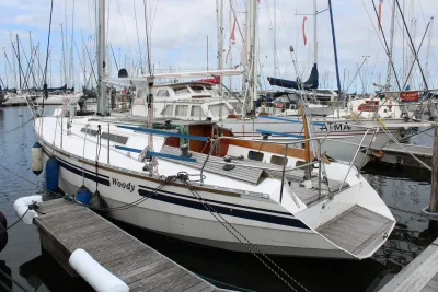 zeiljacht aangemeerd in jachthaven