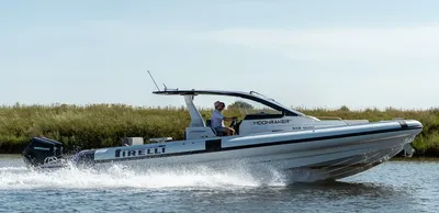 ribboot varend langs oever