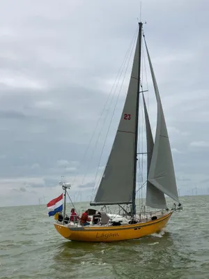 Zeiljacht met gele romp op open water