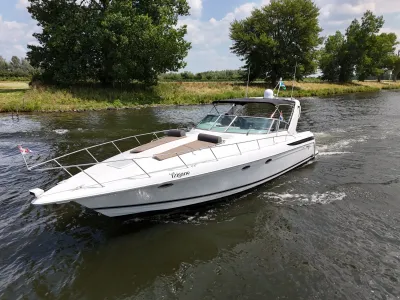 motorjacht varend op rivier