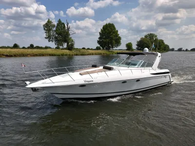 Wit motorjacht op rivier met bomen op oever