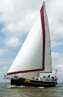 zeilboot met witte zeilen op open water