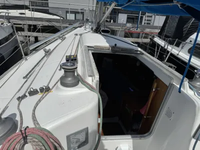 dek en kuip met open kajuitingang en zeillijnen