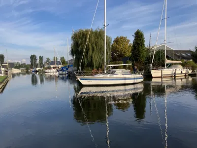 zeilboot in jachthaven bij oever