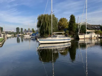 zeilboot liggend in jachthaven met bomen