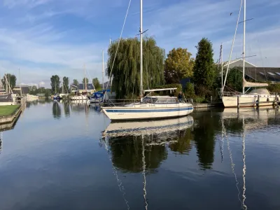 zeilboot in jachthaven bij bomen