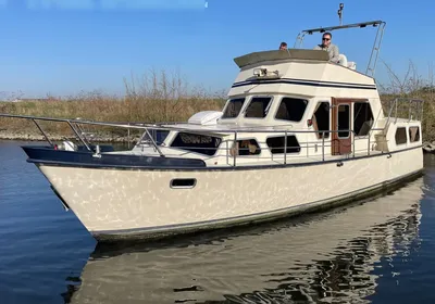 motorjacht op rustig water bij oever