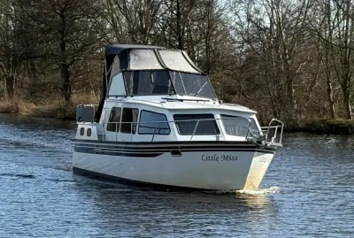 motorkruiser op rivier met bomen op achtergrond