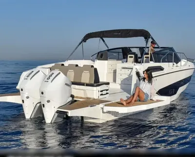 dagcruiser op rustig water met personen