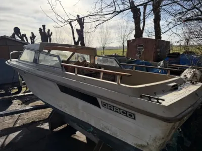 boot op de kant bij schuur en bomen