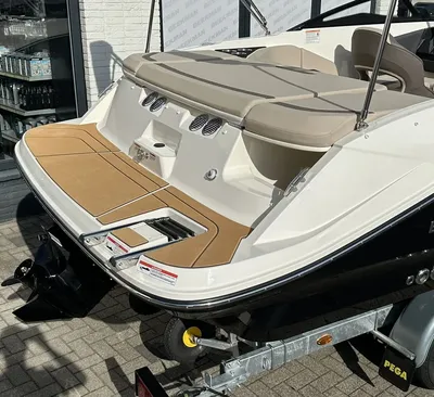 Achterkant van een bowrider op trailer