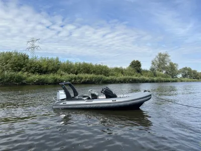 RIB boot op water bij groene oever