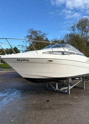 wit jacht op bokken bij parkeerplaats