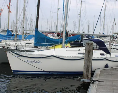 zeilboot aangemeerd in jachthaven