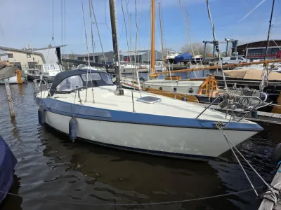 zeilboot aangemeerd in jachthaven