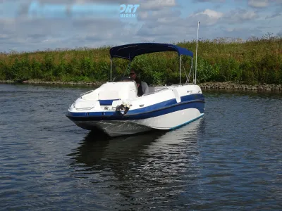 bowrider op het water bij oever