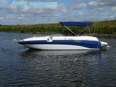 blauwe en witte bowrider op het water