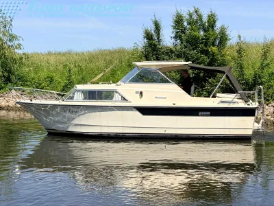 motorjacht op rustig water bij oever