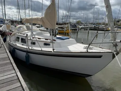 zeiljacht aangemeerd in een jachthaven
