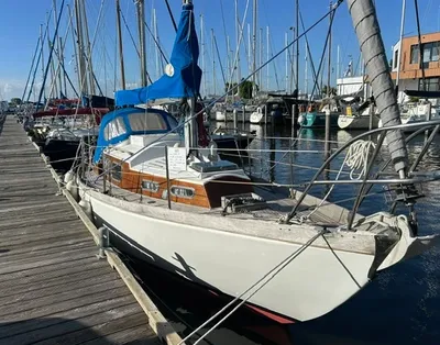 zeilboot aangemeerd in jachthaven