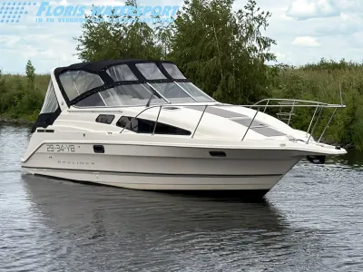 motorboot op rustig water bij oever