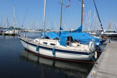 zeilboot aan de steiger in jachthaven