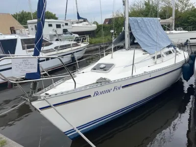 zeilboot aangemeerd in jachthaven