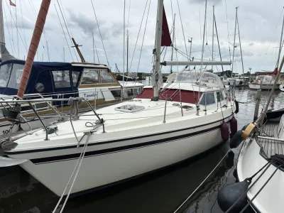 zeiljacht afgemeerd in jachthaven