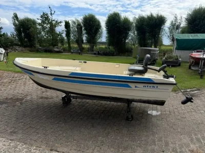 kleine visboot op trailer op oprit