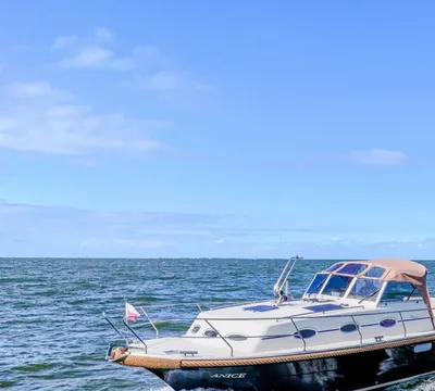 motorboot op open water bij klein eiland
