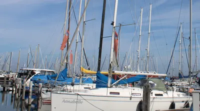 jachthaven met zeilboten en masten