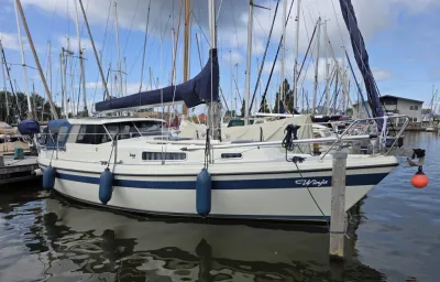 motorzeilschip in jachthaven