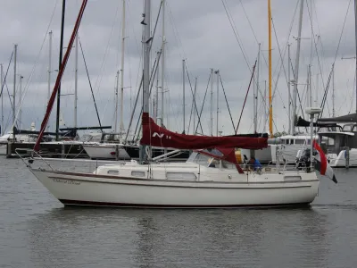 zeilboot aangemeerd in jachthaven